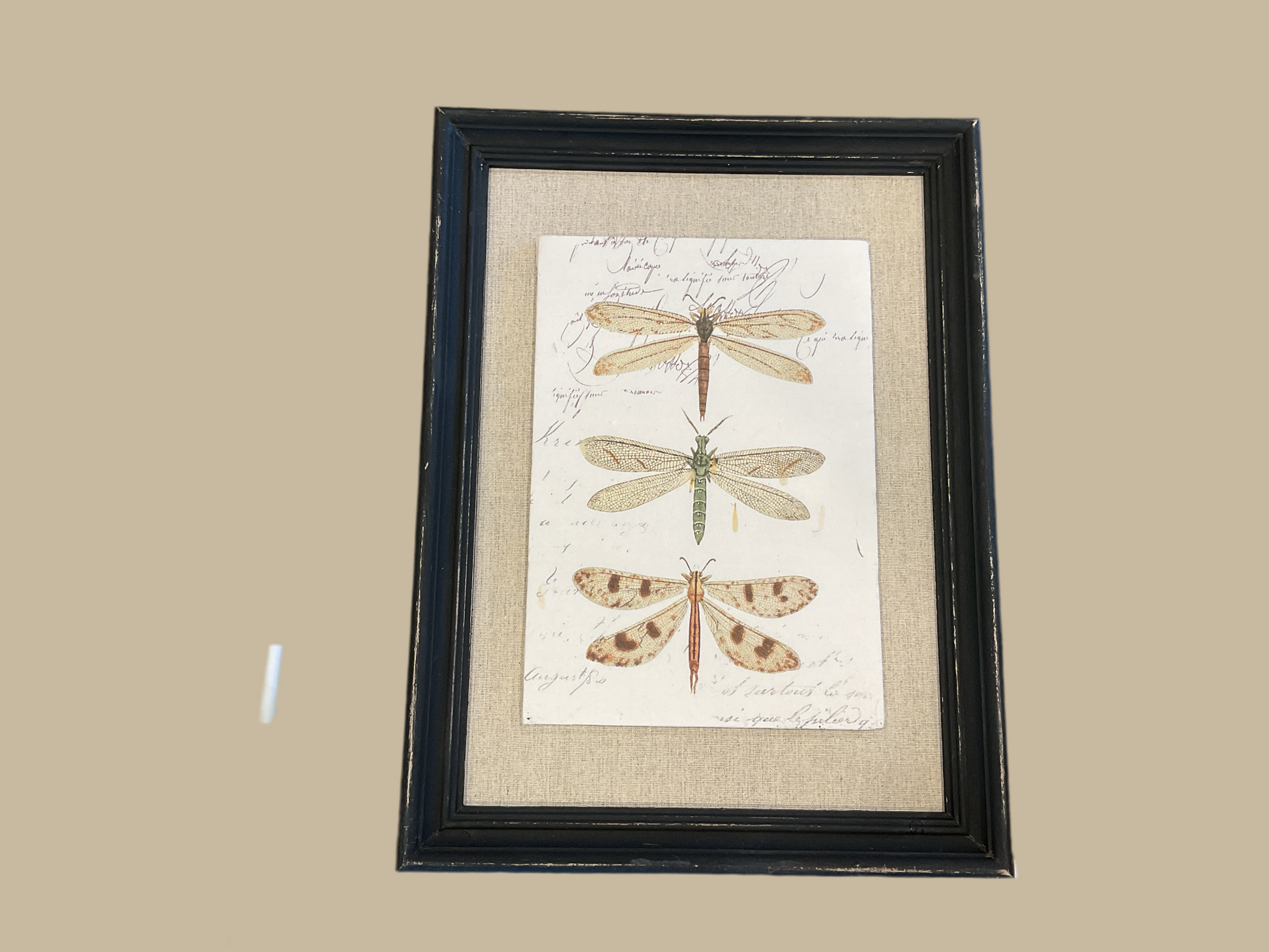Dragonfly/Butterfly Art