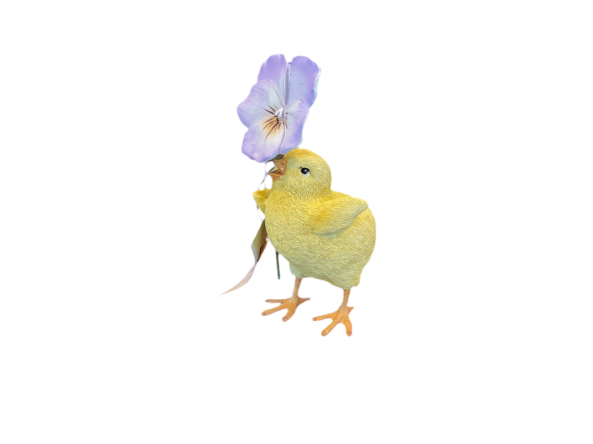 Regency Chicks