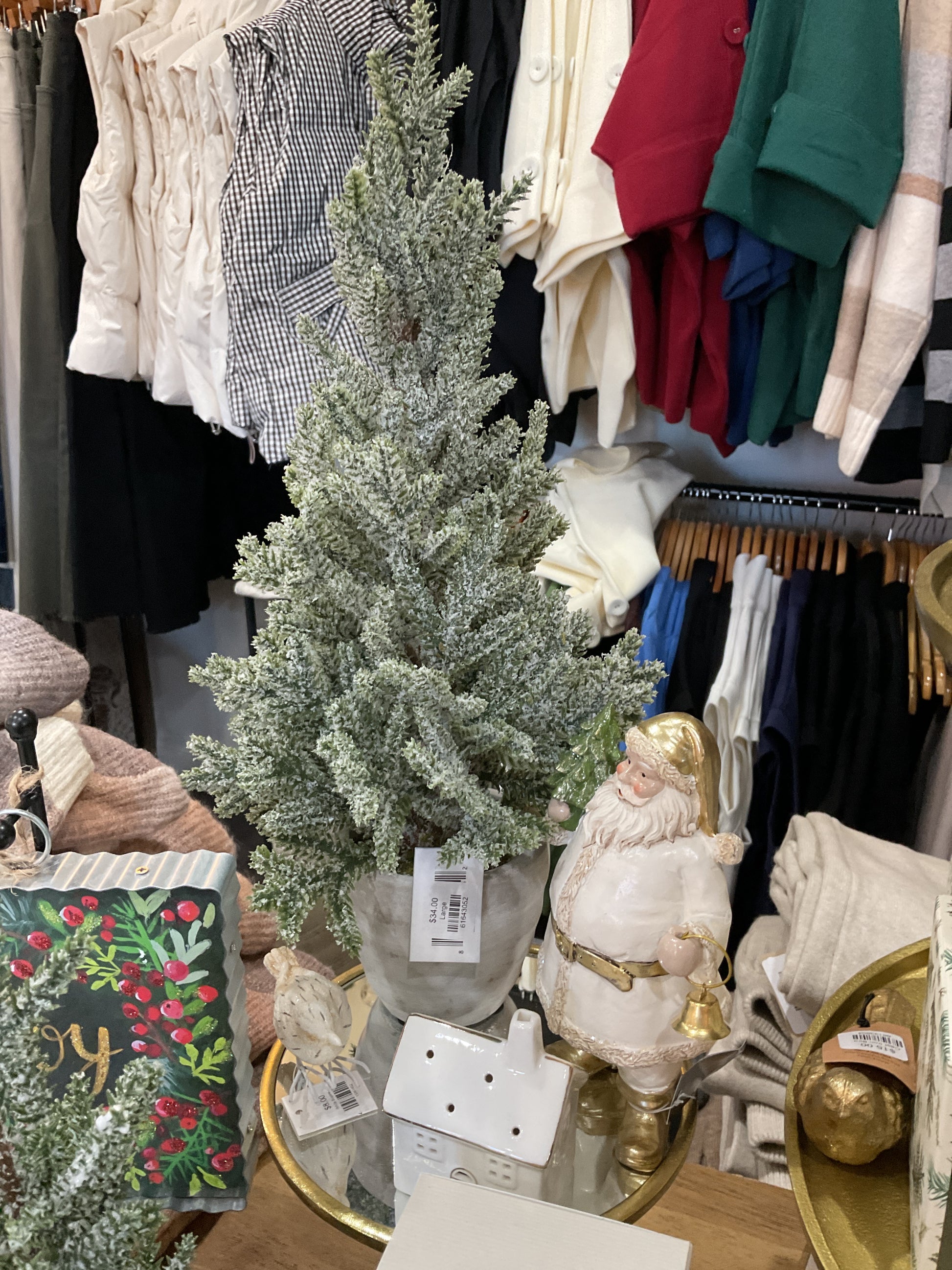 Pine Tree Cement Pots