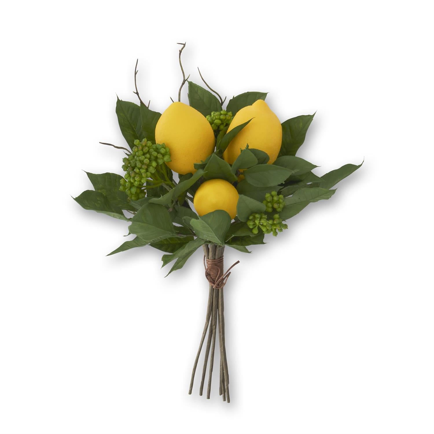 Lemon Bundle