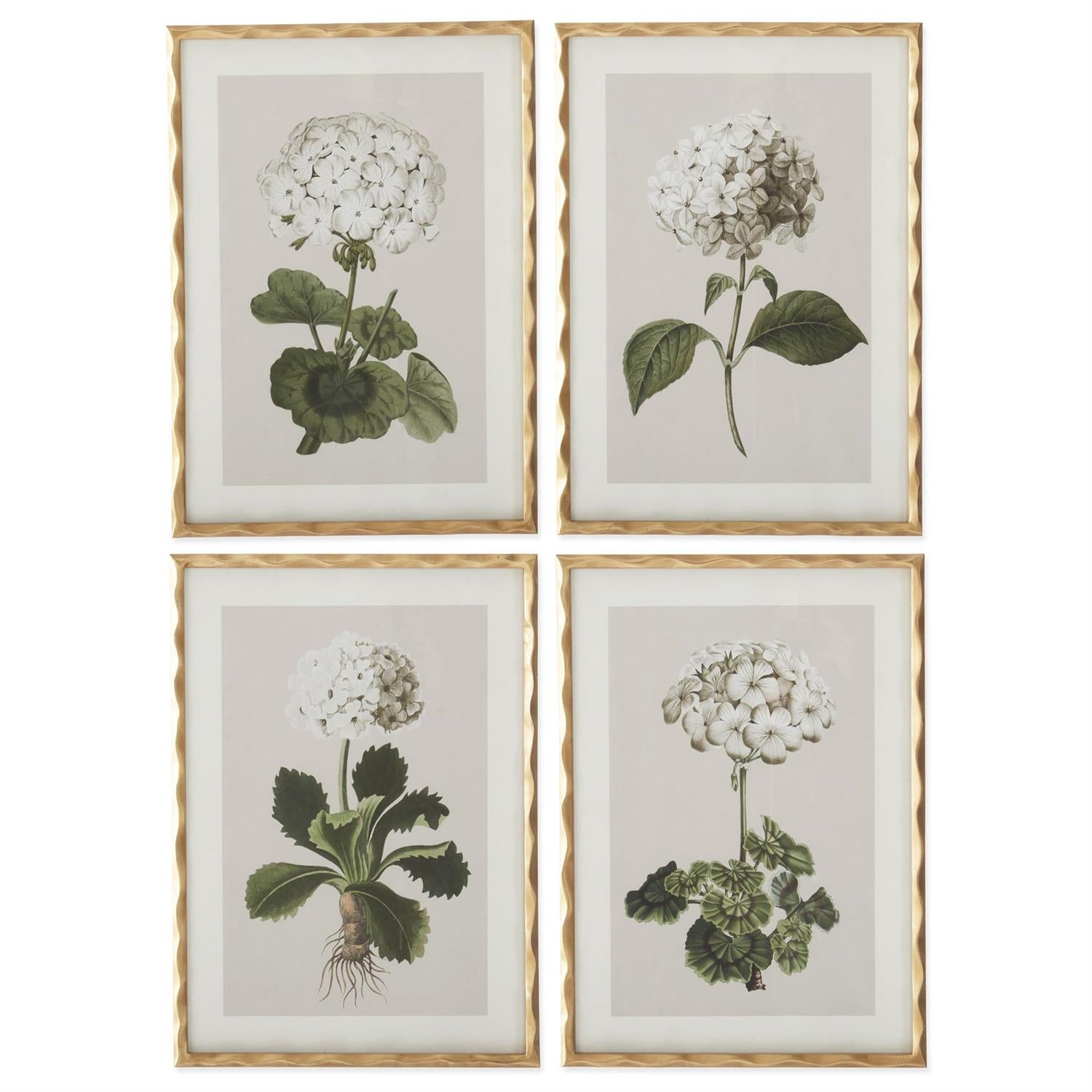 Geranium Prints