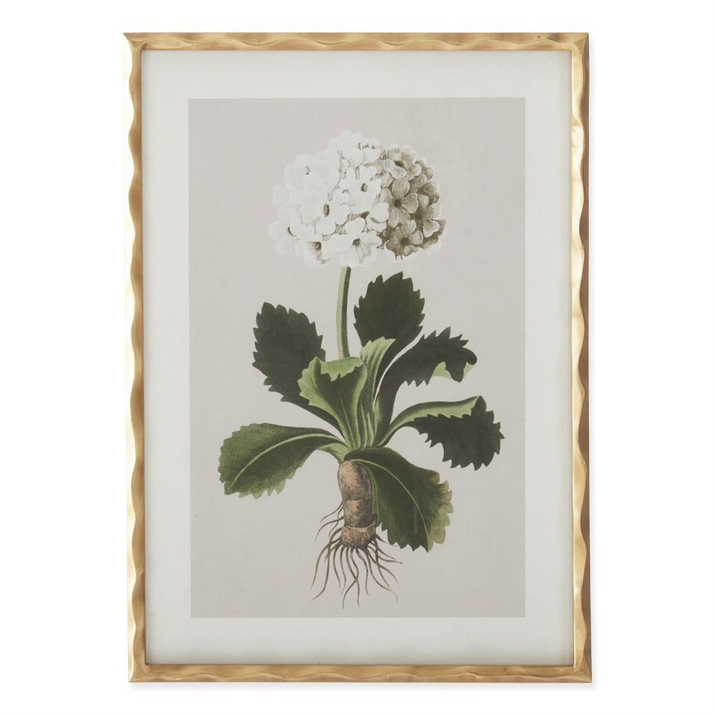 Geranium Prints