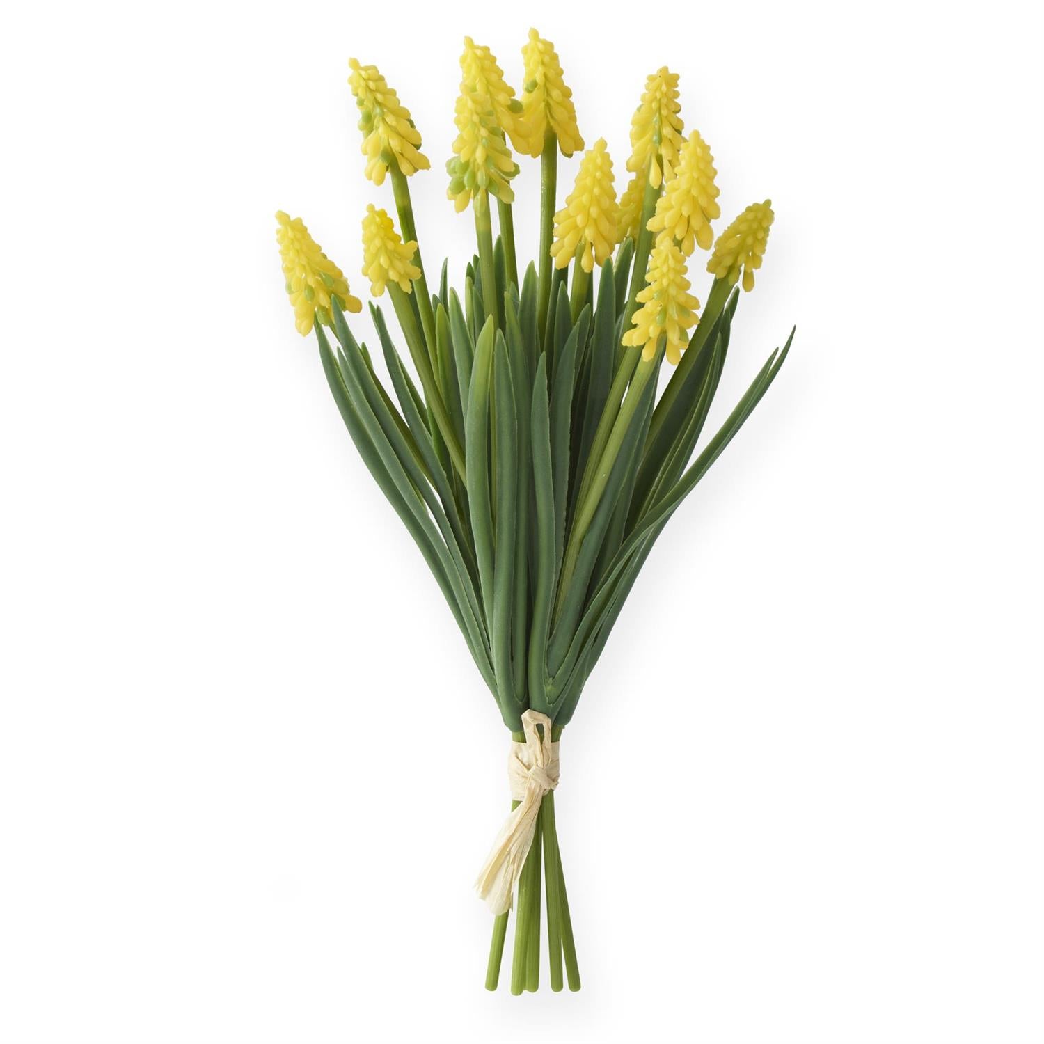 Yellow Hyacinth Bundle