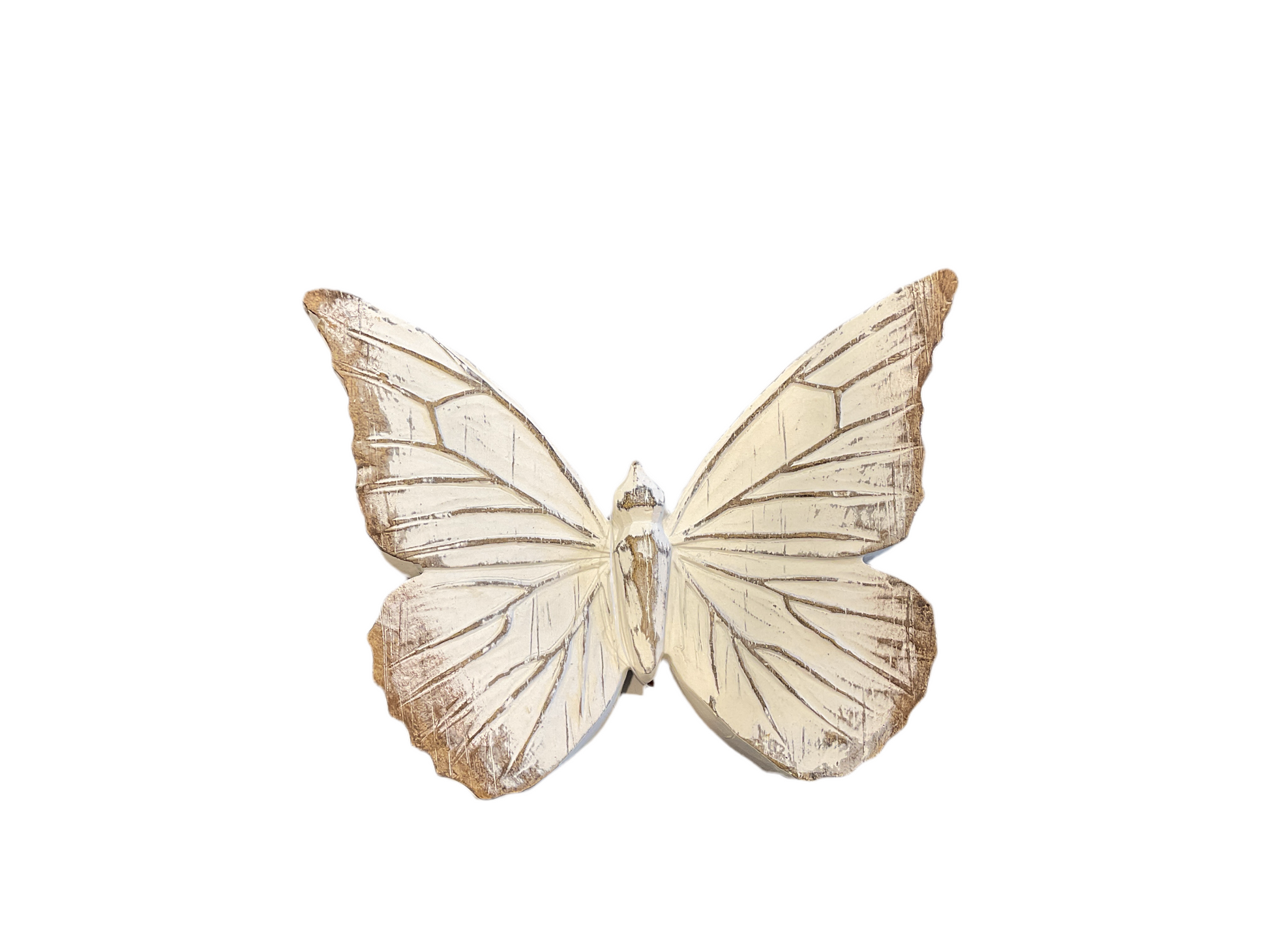 Whitewashed Butterflies