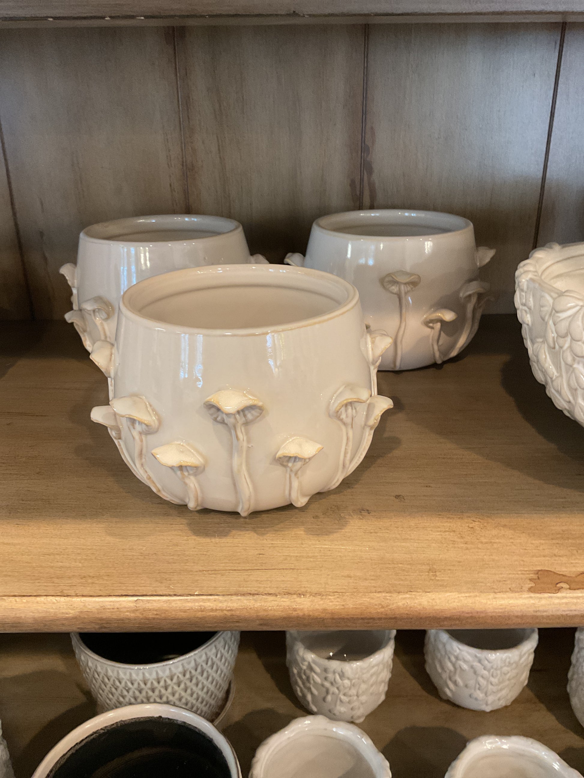 Mushroom Planter