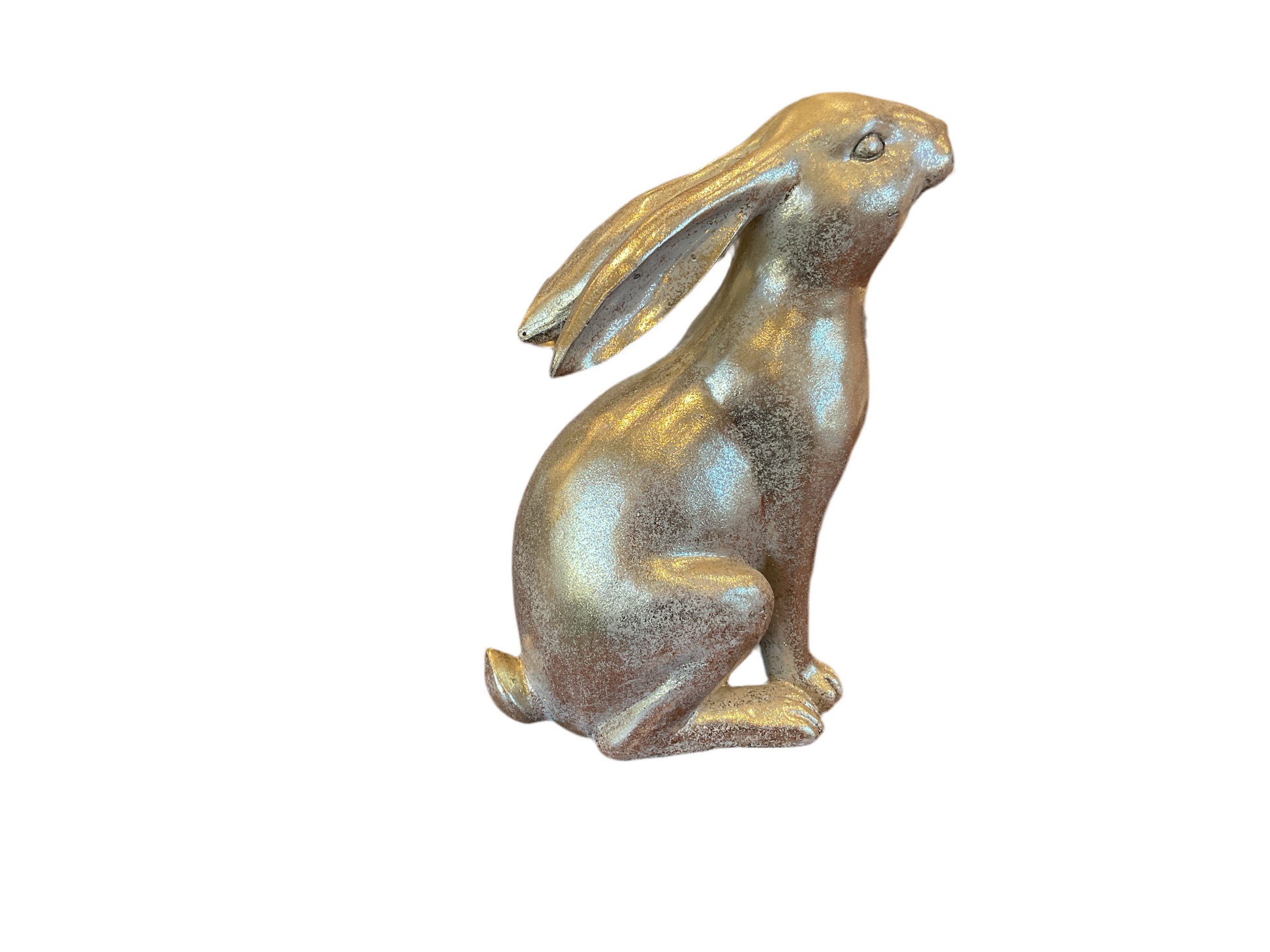Regency Bunnies & Rabbits