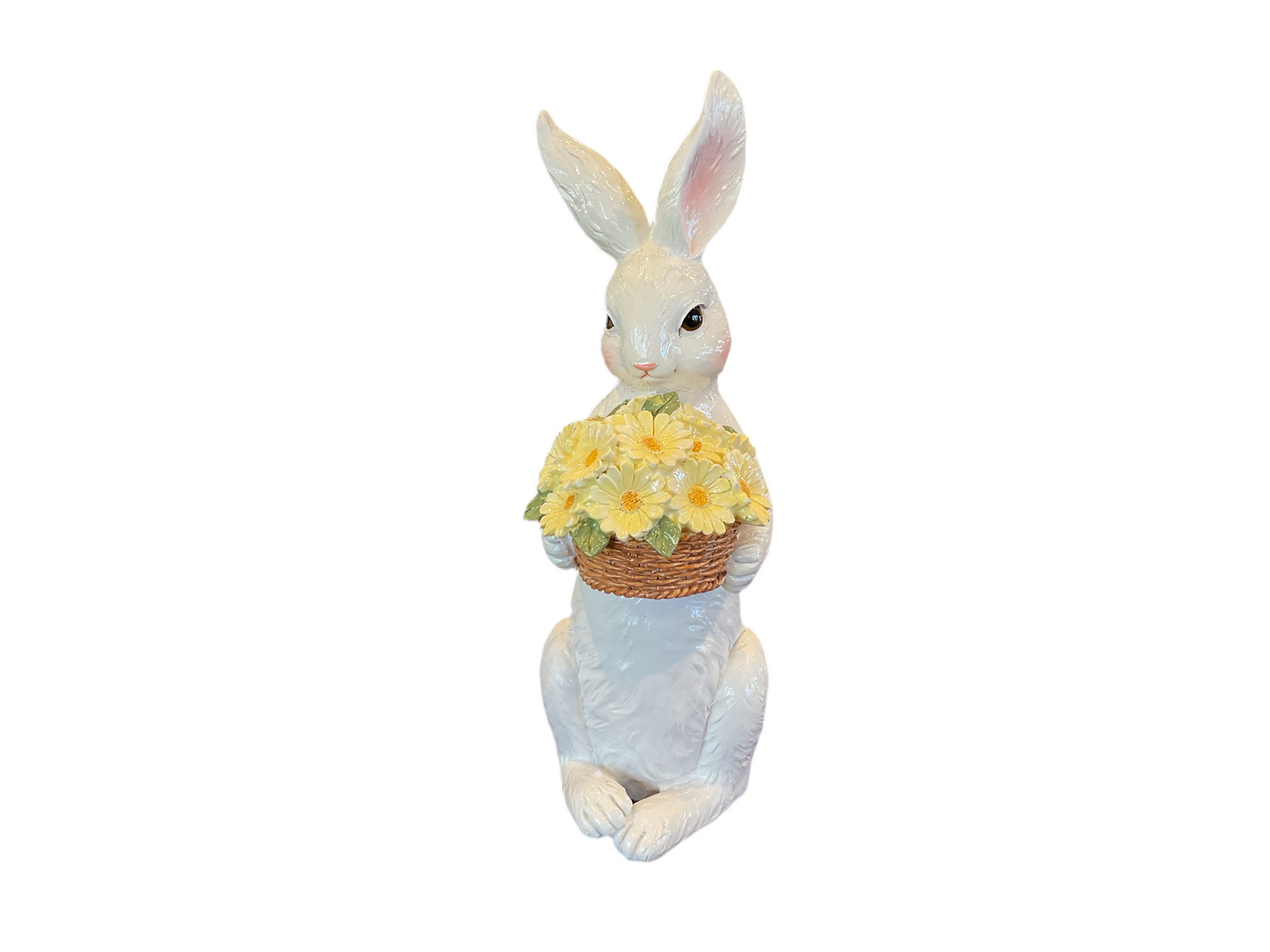 Regency Bunnies & Rabbits