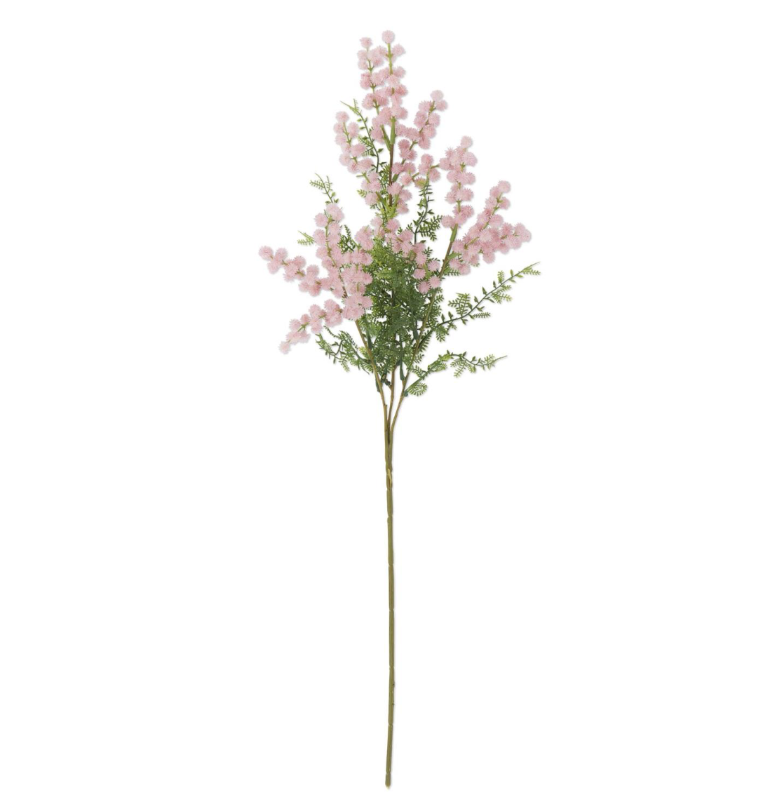 Pink Burns & Fern Stem
