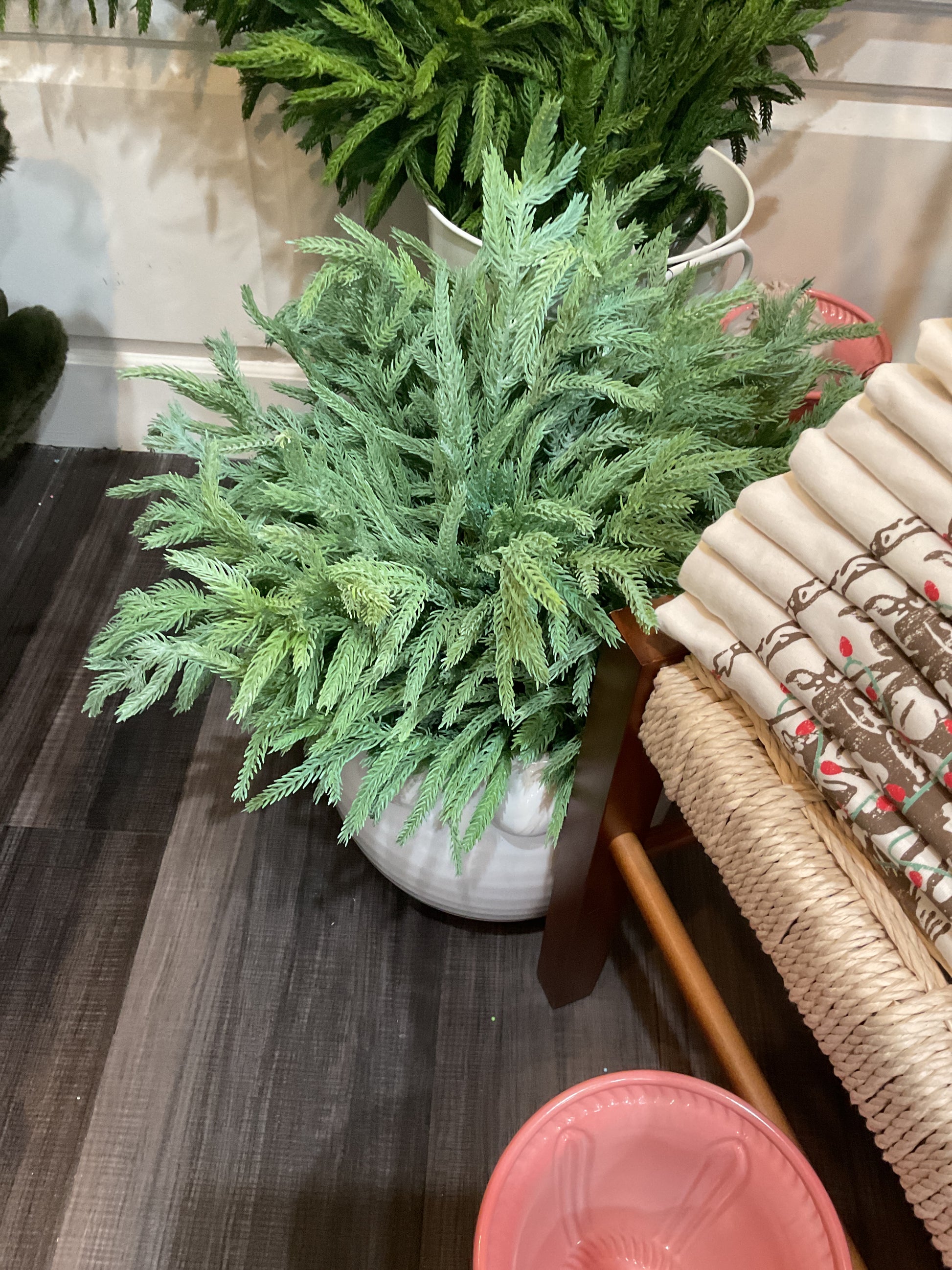 Norfolk Pine Bundle