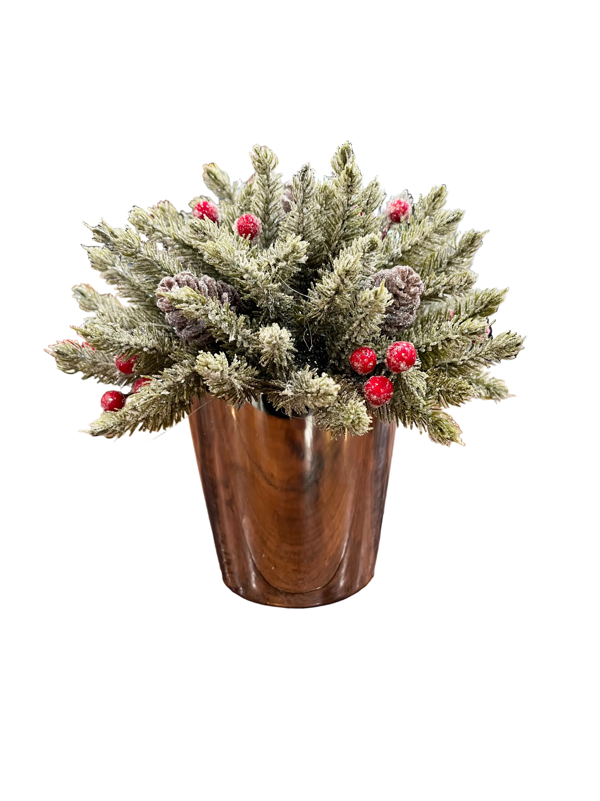 Pine Ball in Ceramic Pot
