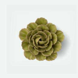 Peridot Keiko Peony
