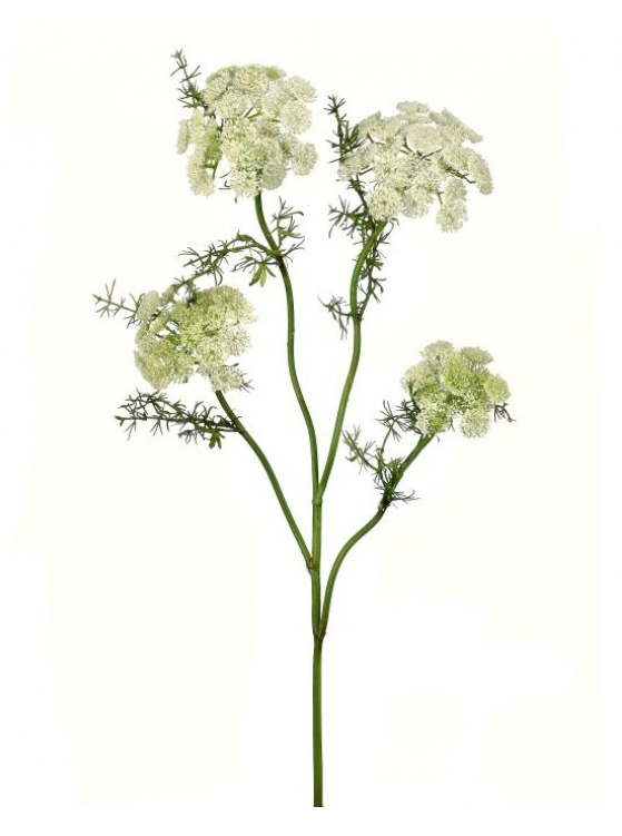 33" Wild Dill Spray