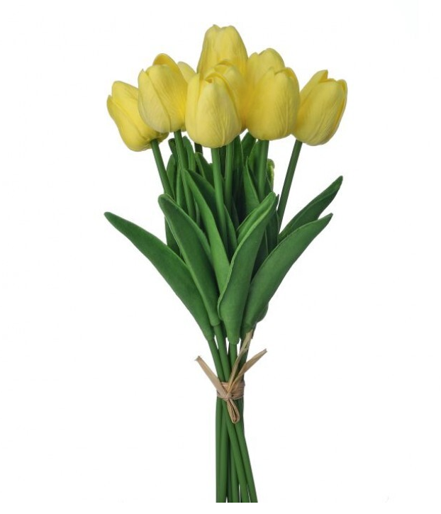 13" Eva Dutch Tulip Bundle