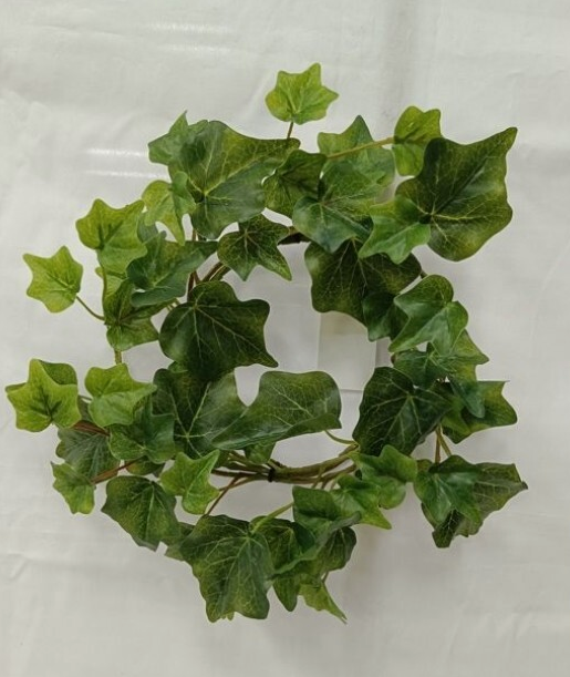 8" English Ivy Candle Ring