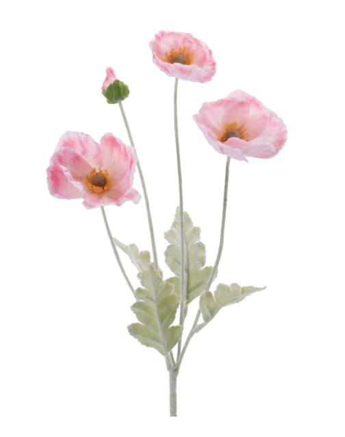 Poppy Spray 25"