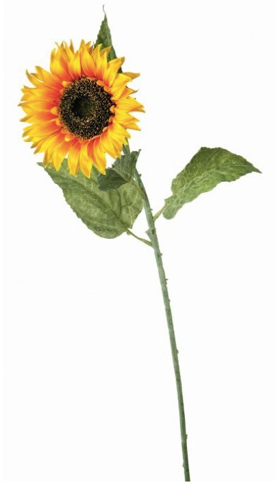 SUNFLOWER STEM 34"