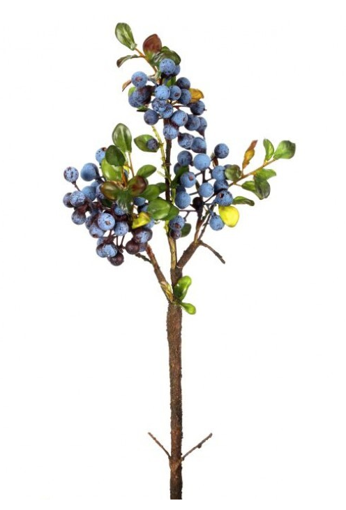 BLUEBERRY CLUSTER X3 18"