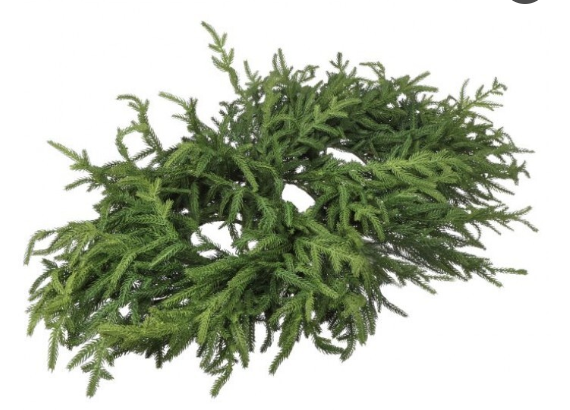 36" Justcut Norfolk Pine Centerpiece