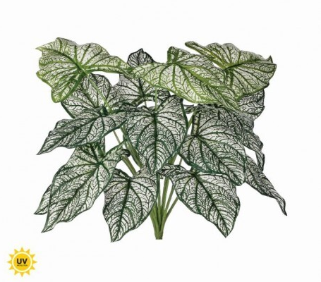PU UV Treated Calladium Bush