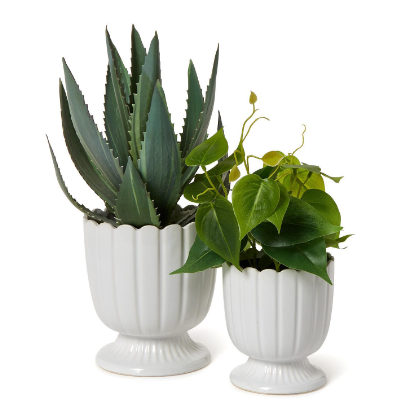 Scalloped Edge Planters