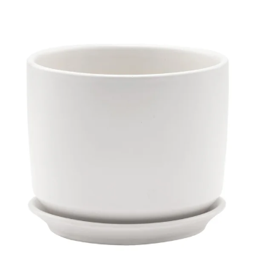 Medium Matte White Pot with Saucer