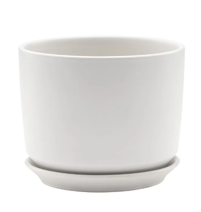 Large Matte White Cylinder Pot