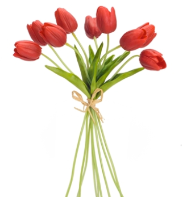 Tulip Bundle 15"