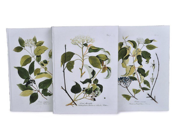 White & Green Botanical Journals